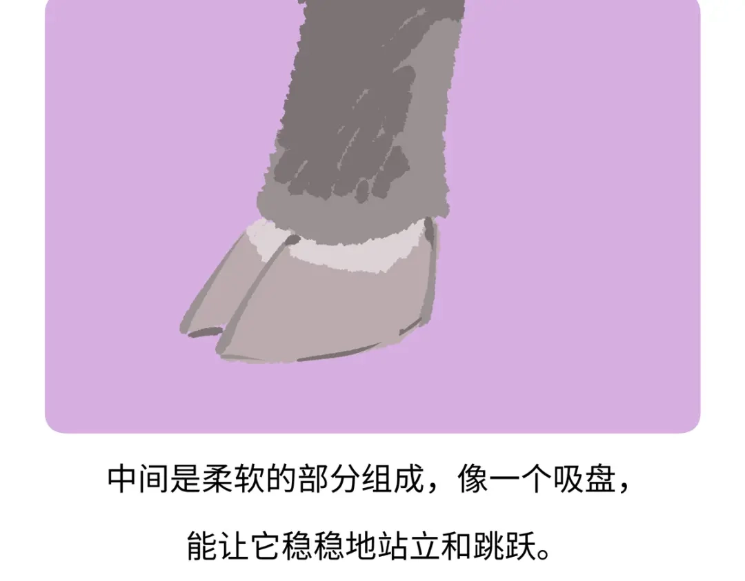 《胖达x胖达》第293话 第26页