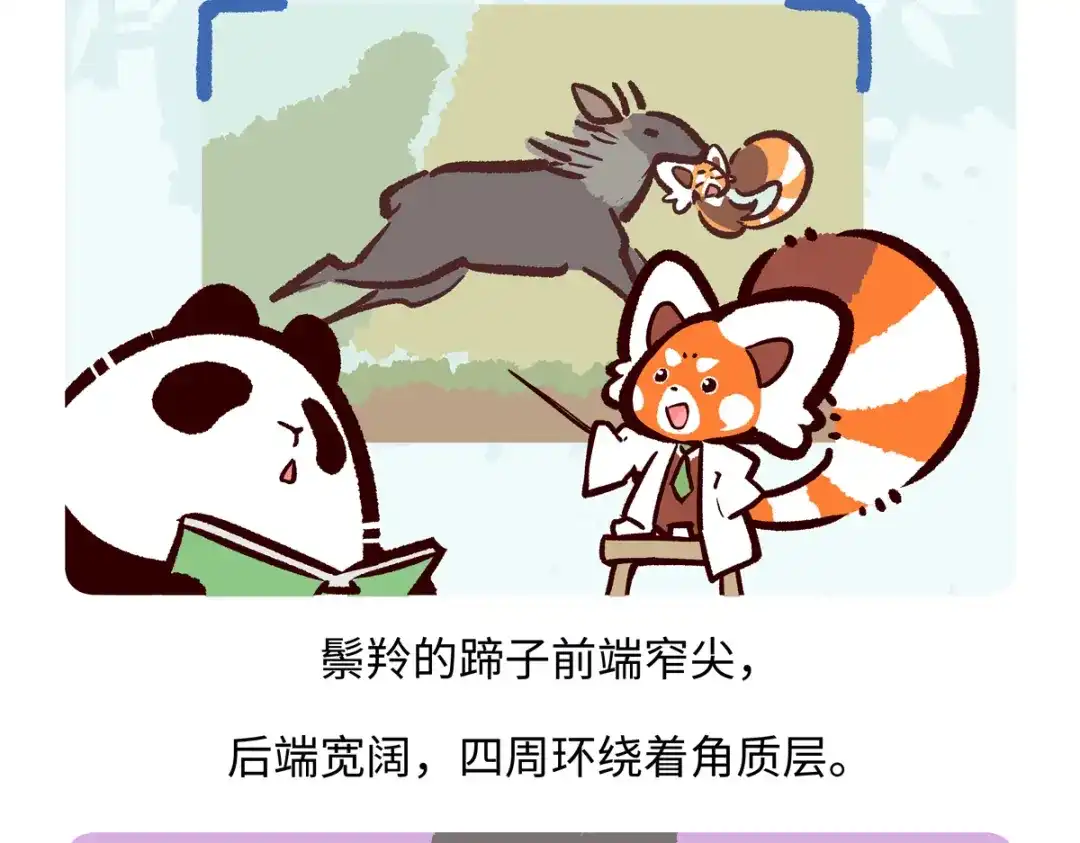 《胖达x胖达》第293话 第25页