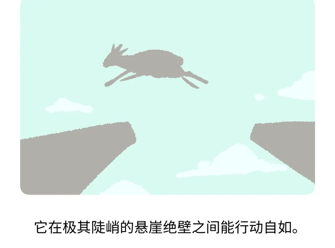 《胖达x胖达》第293话 第21页