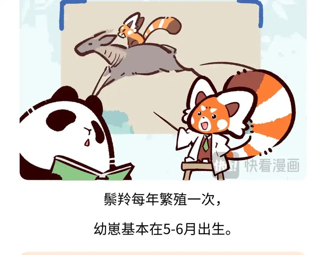 《胖达x胖达》第294话 第18页