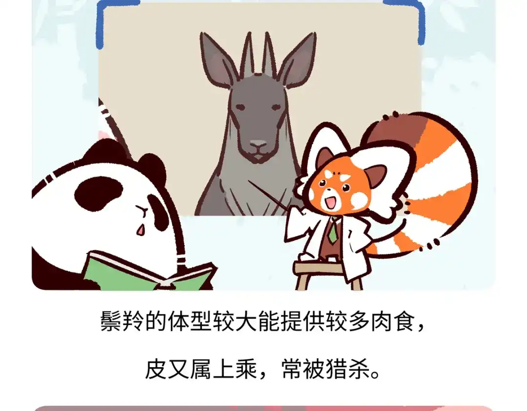 《胖达x胖达》第294话 第24页