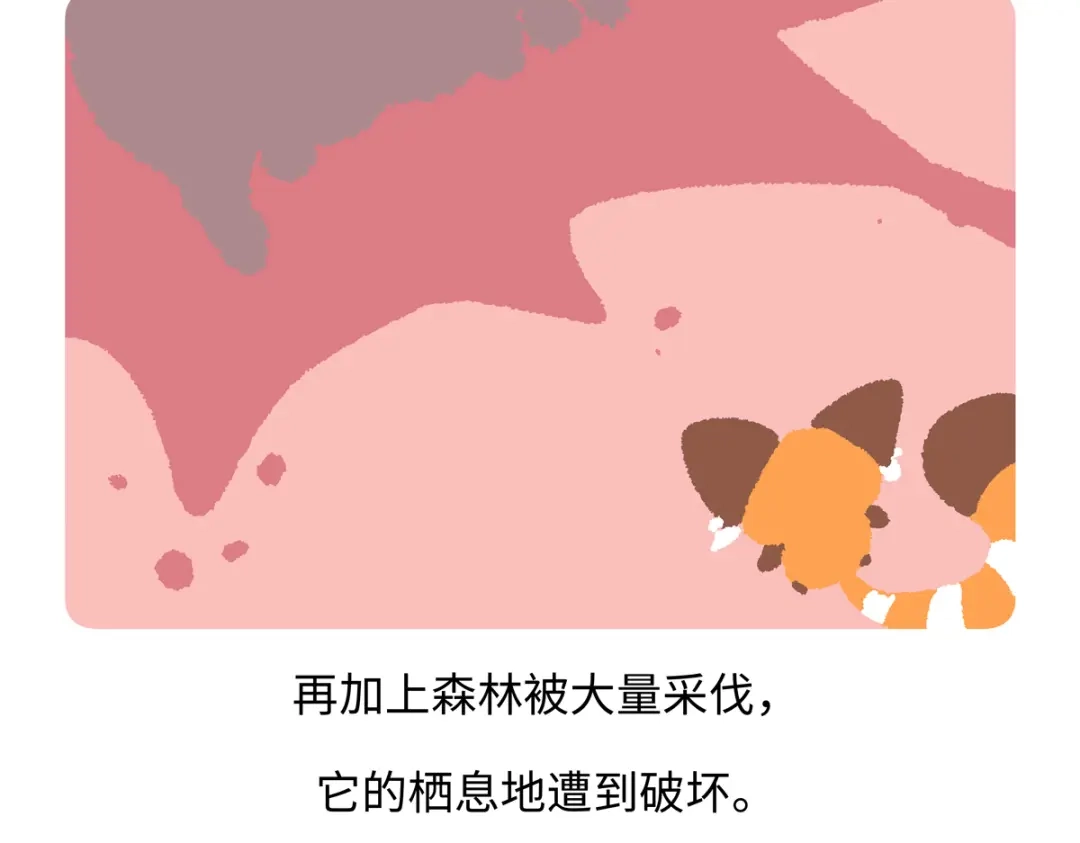 《胖达x胖达》第294话 第25页