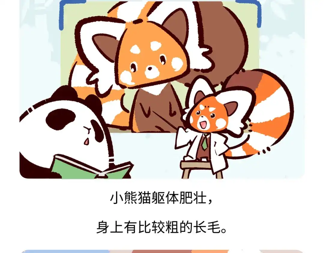 《胖达x胖达》第295话 第20页