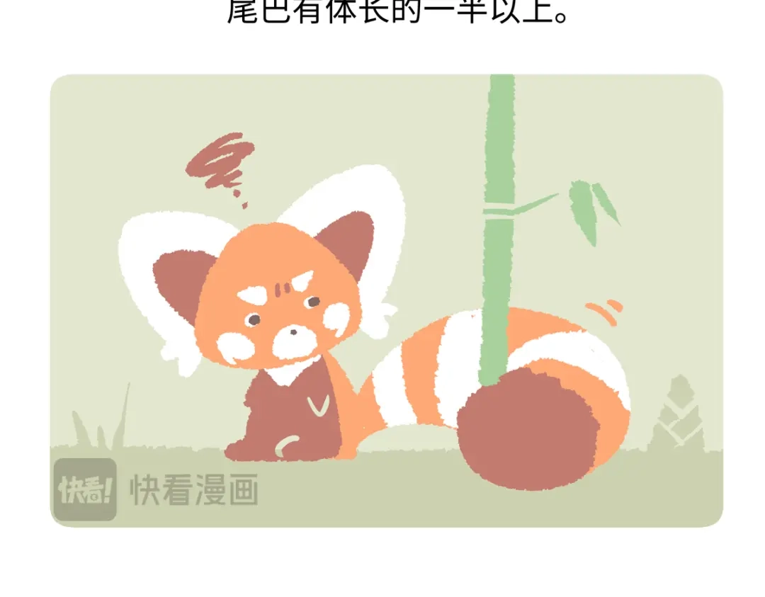 《胖达x胖达》第295话 第23页
