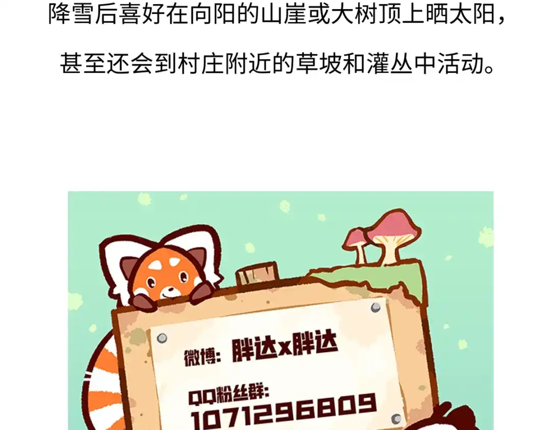 《胖达x胖达》第295话 第30页