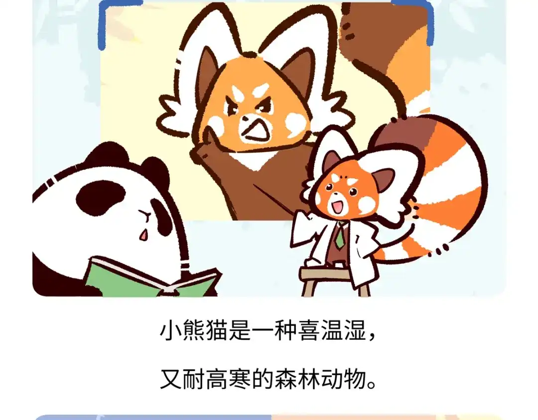《胖达x胖达》第295话 第26页