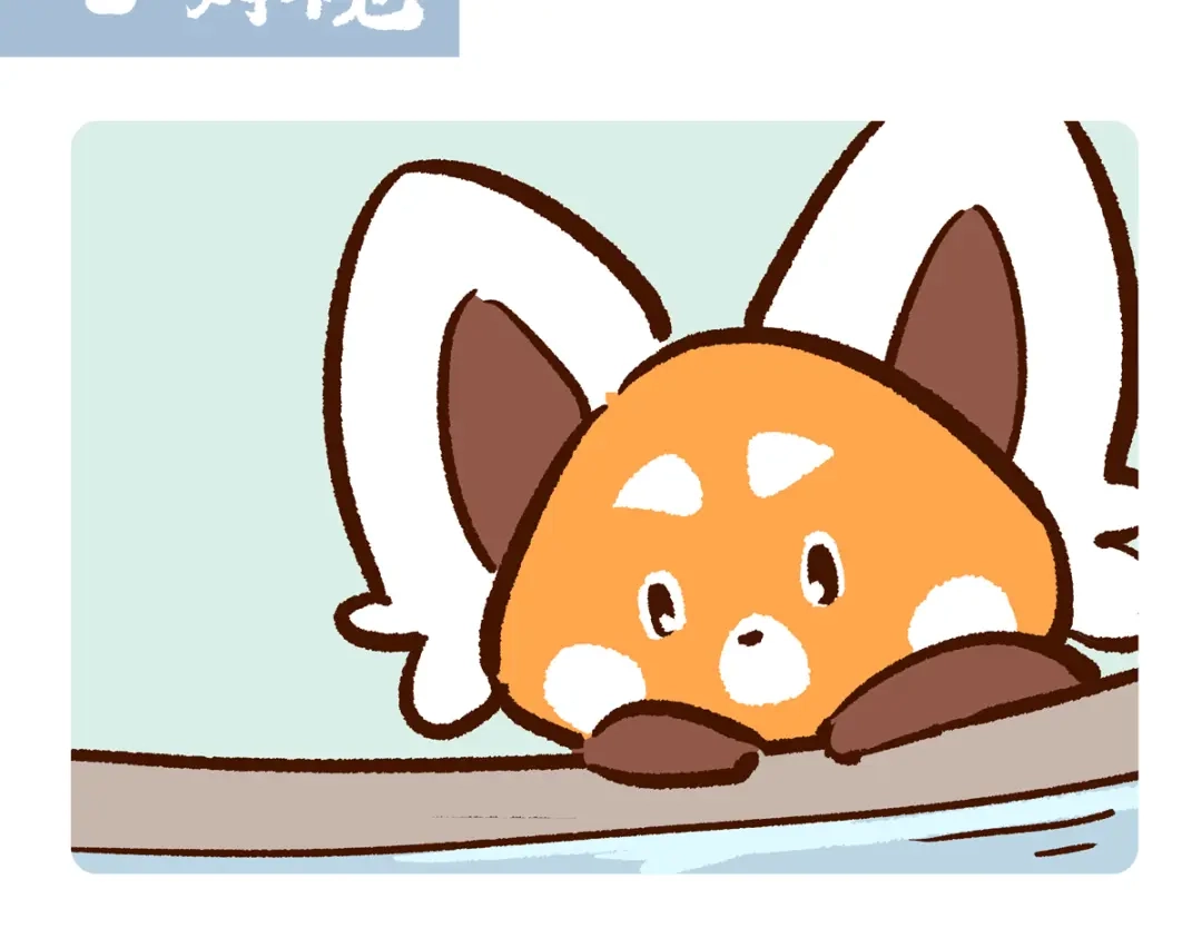 《胖达x胖达》第295话 第14页