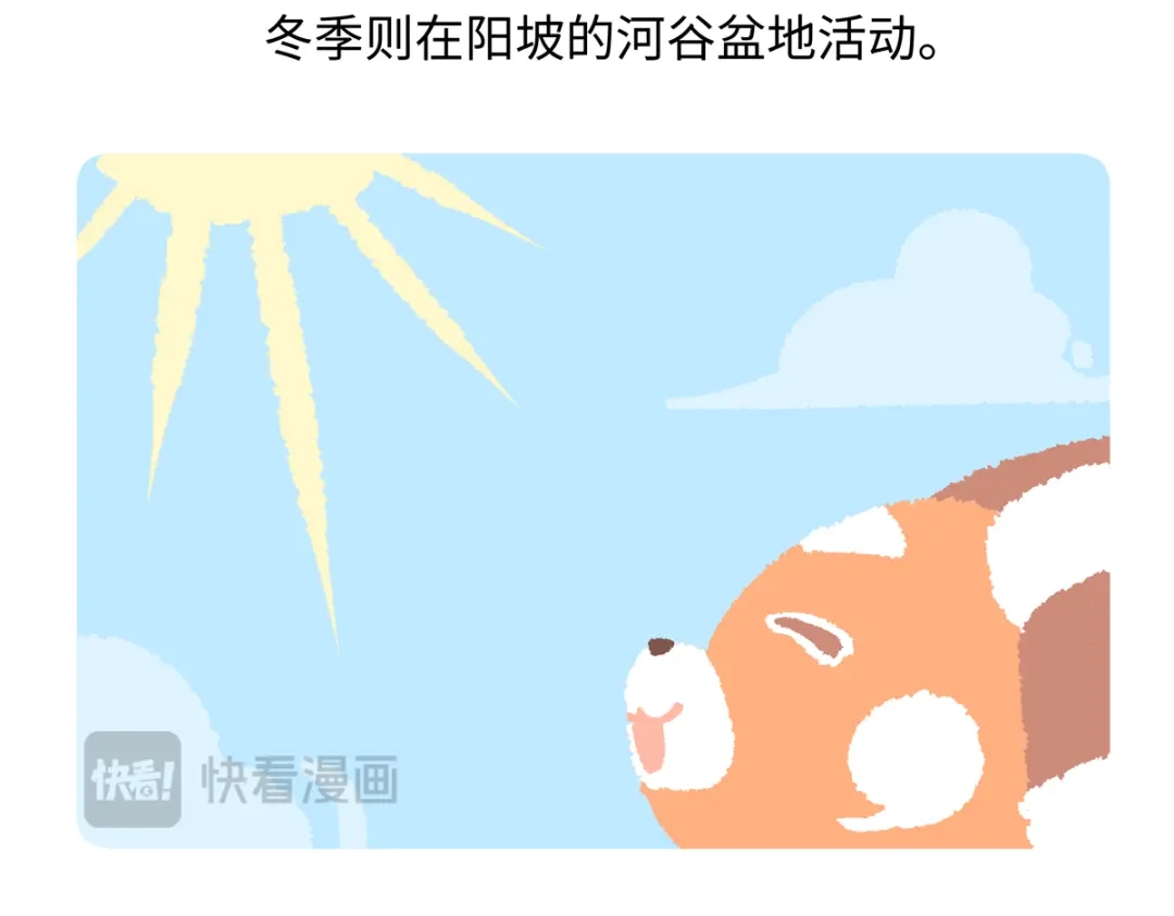 《胖达x胖达》第295话 第29页