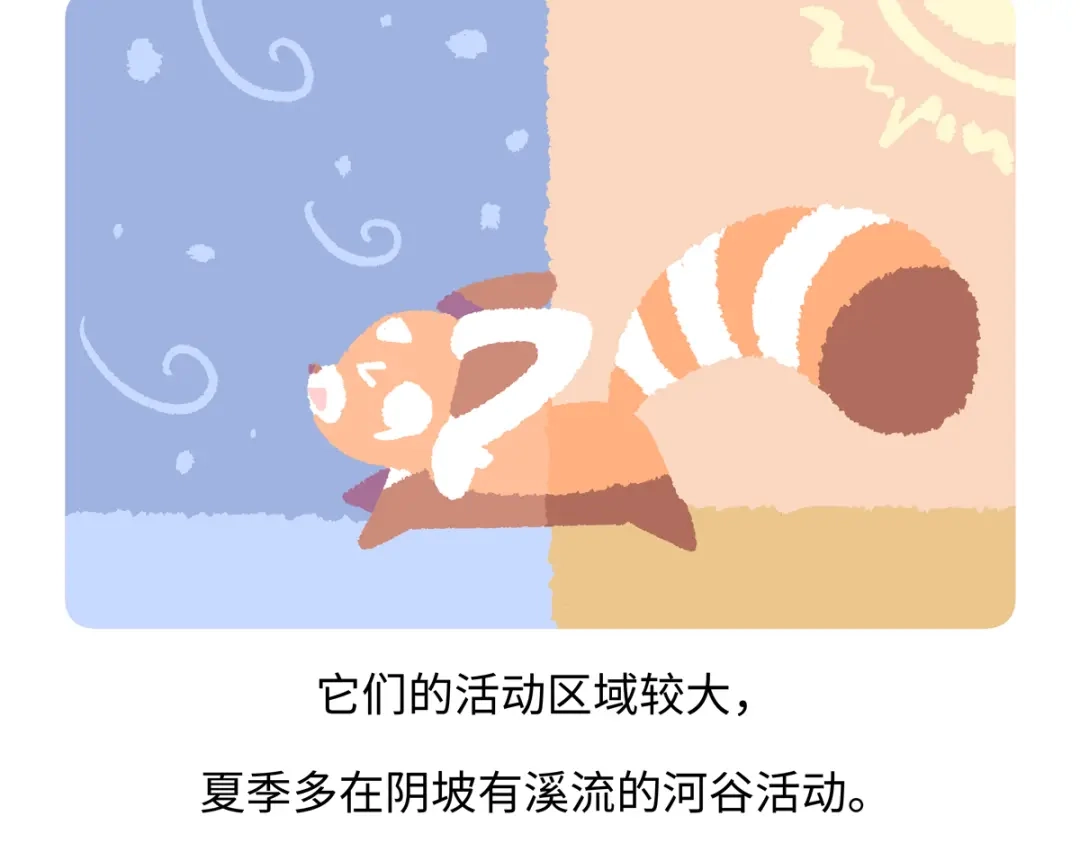 《胖达x胖达》第295话 第27页