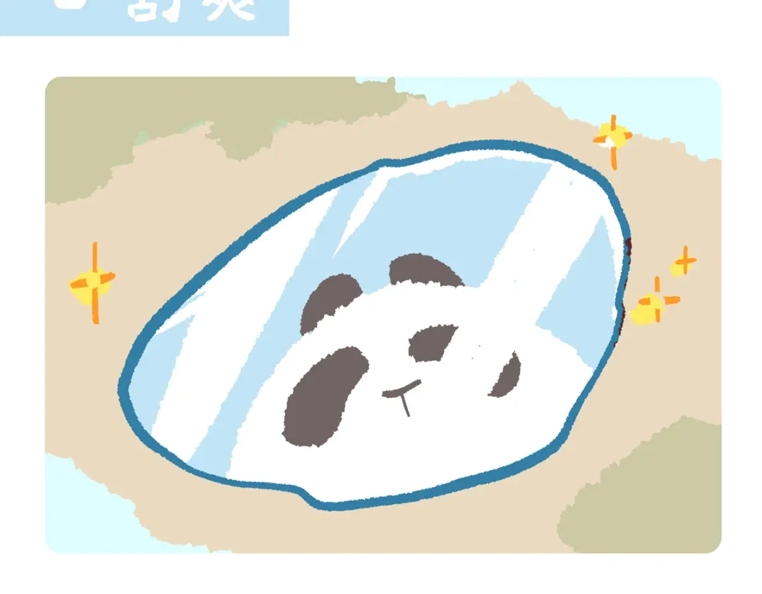 《胖达x胖达》第296话 第19页