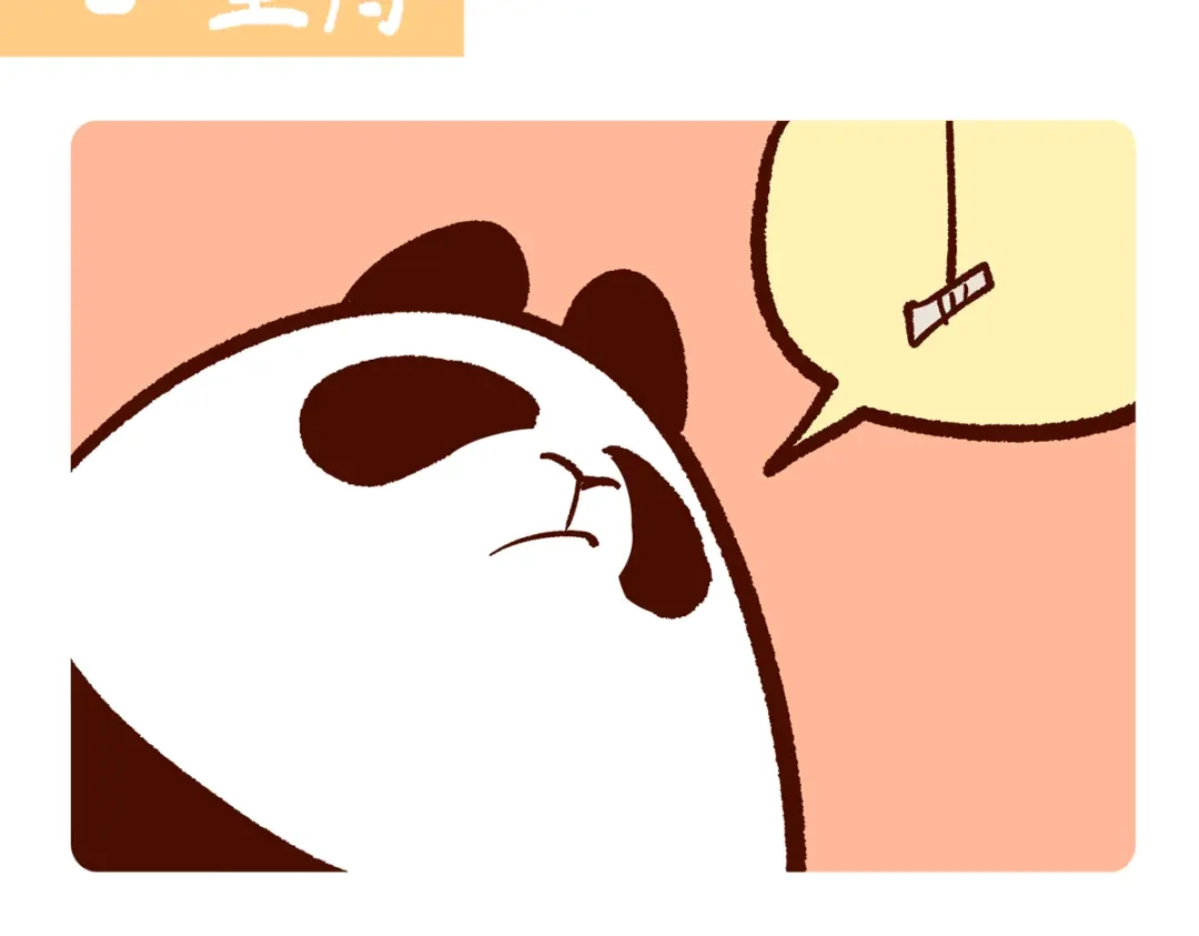 《胖达x胖达》第297话 第18页