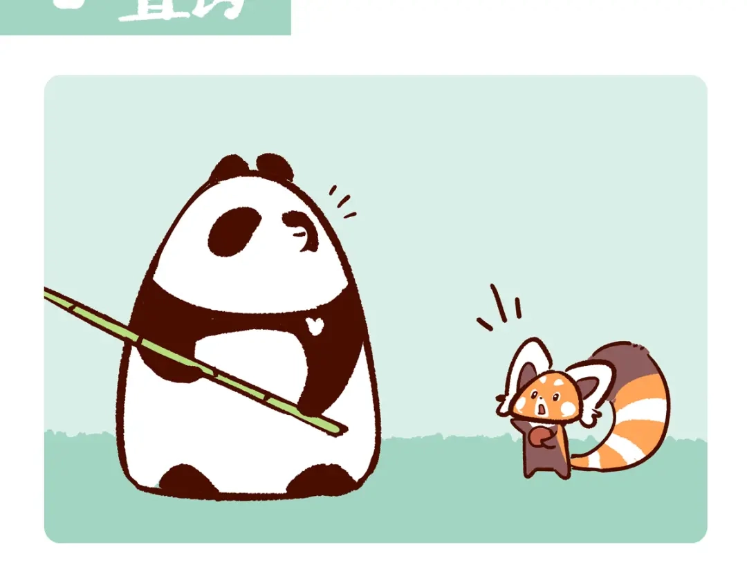 《胖达x胖达》第297话 第13页