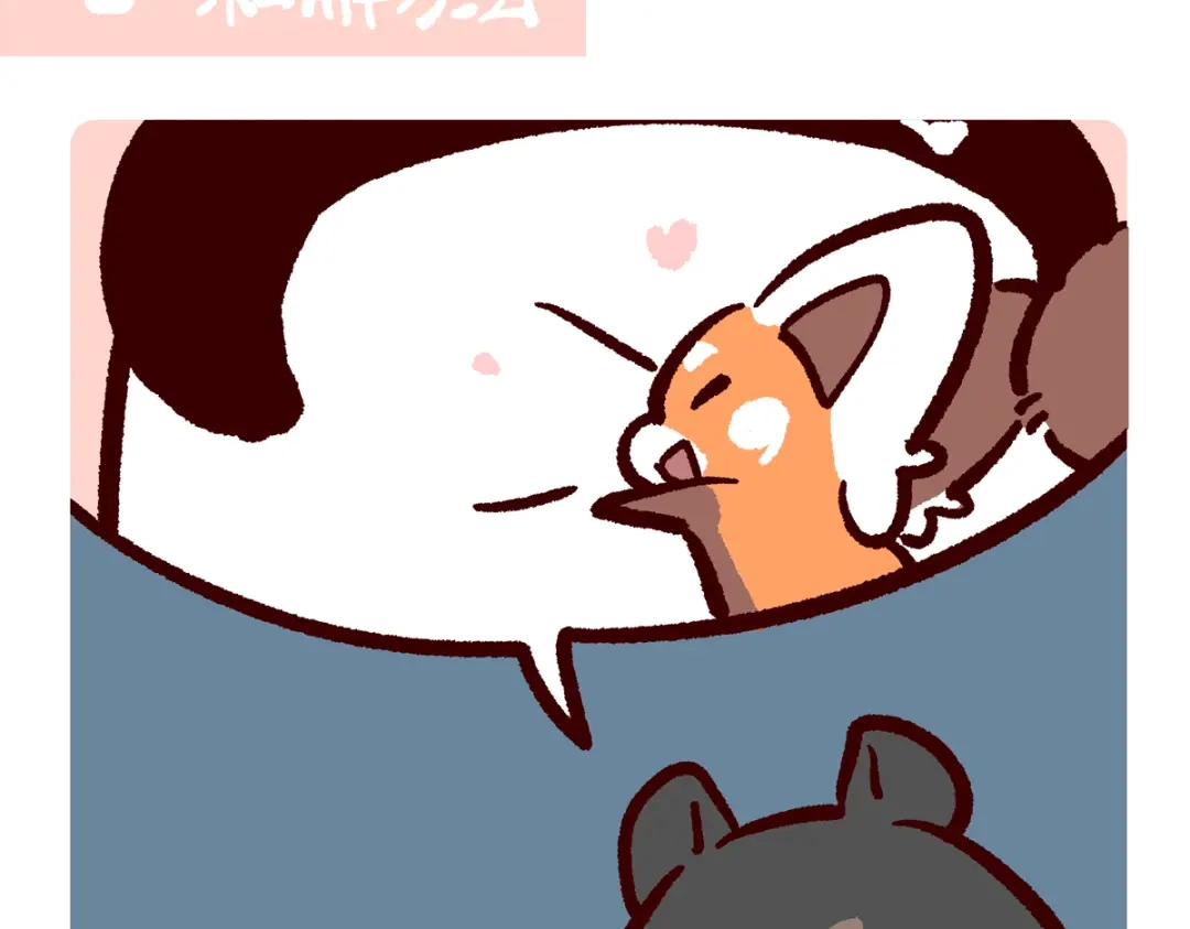 《胖达x胖达》第299话 第13页