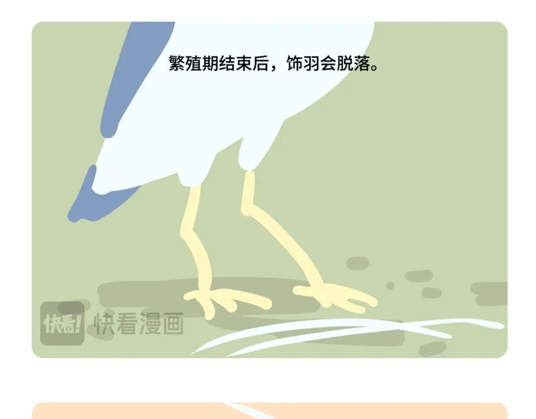 《胖达x胖达》第二季第3话 第20页