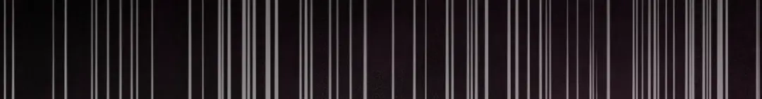 《配角决定成为假替身》尾声 肆意享受吧 第204页