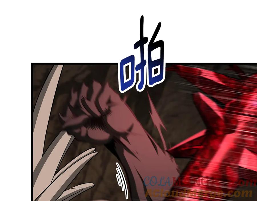 137.jpg