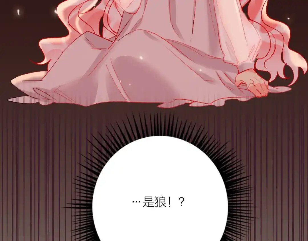《贫穷公主掠夺计划》第53话 狼的诱惑 第102页