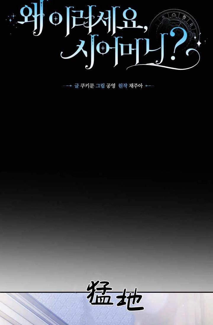 《婆婆，您为何这样？》第27话 第44页