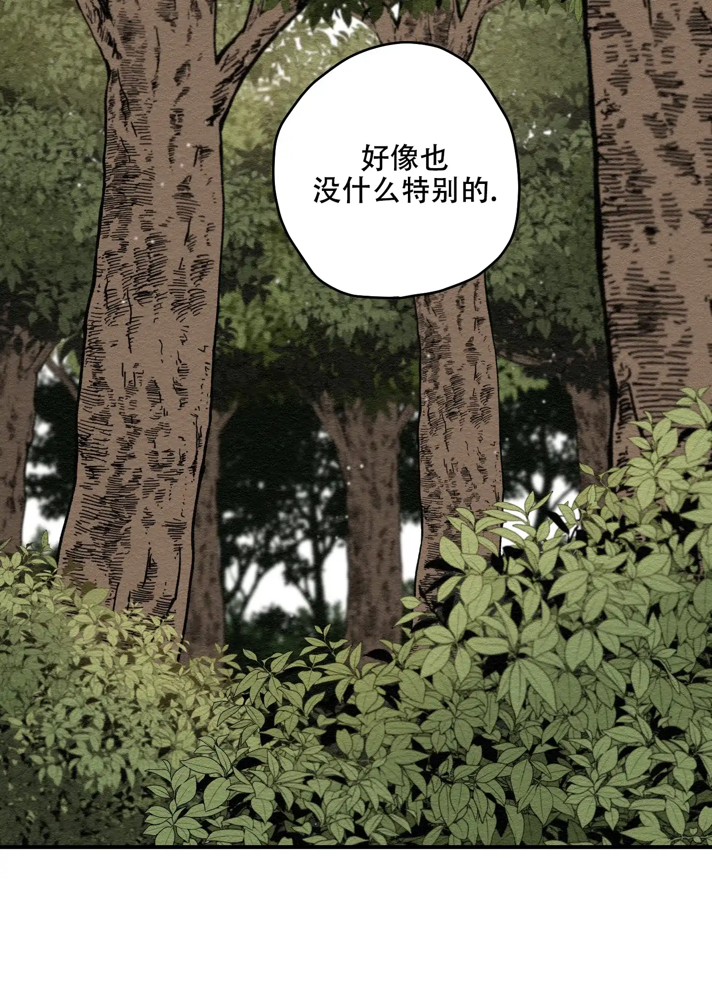 《铺满金钟花的路》第13话 第15页