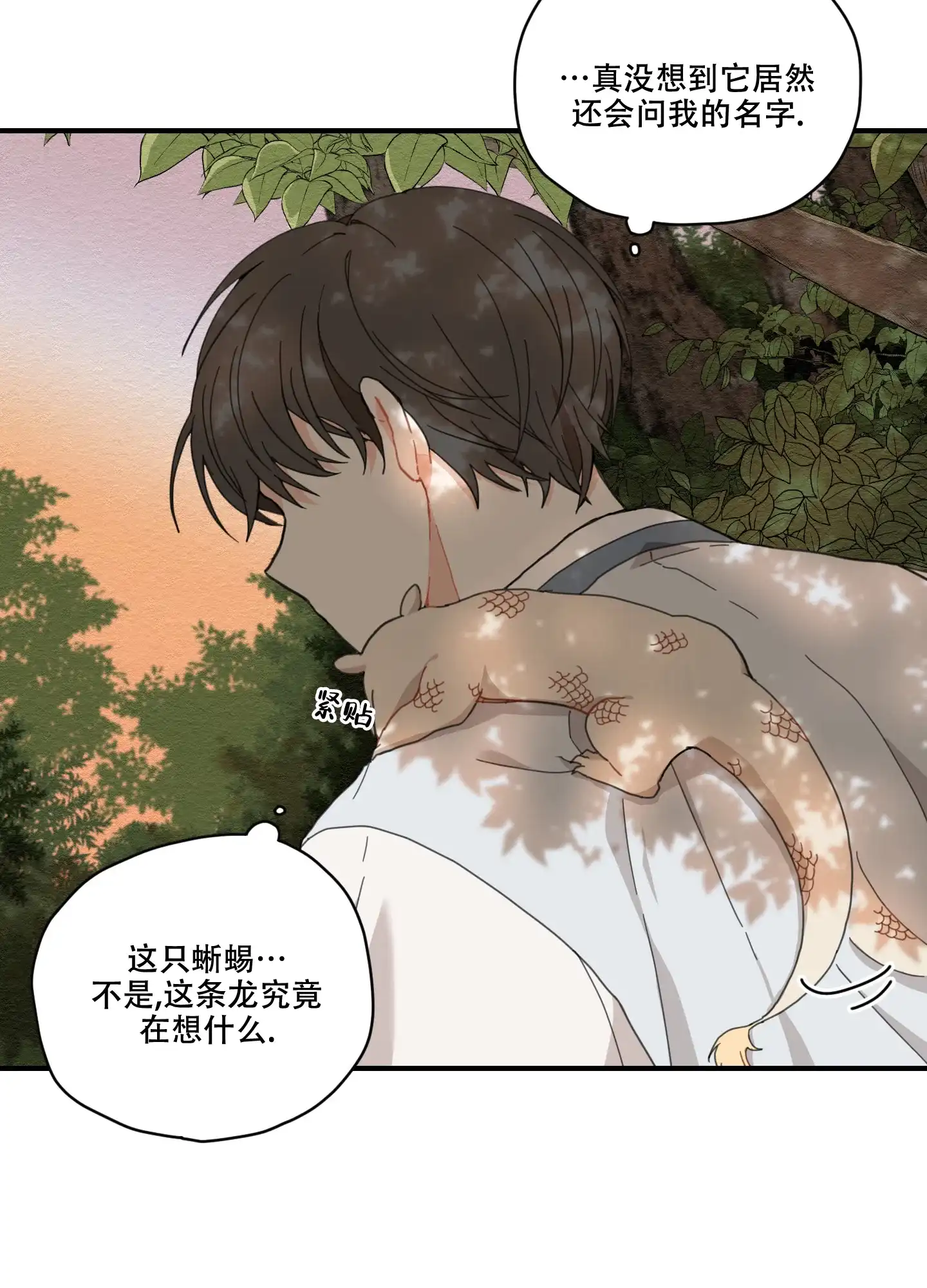 《铺满金钟花的路》第4话 第14页