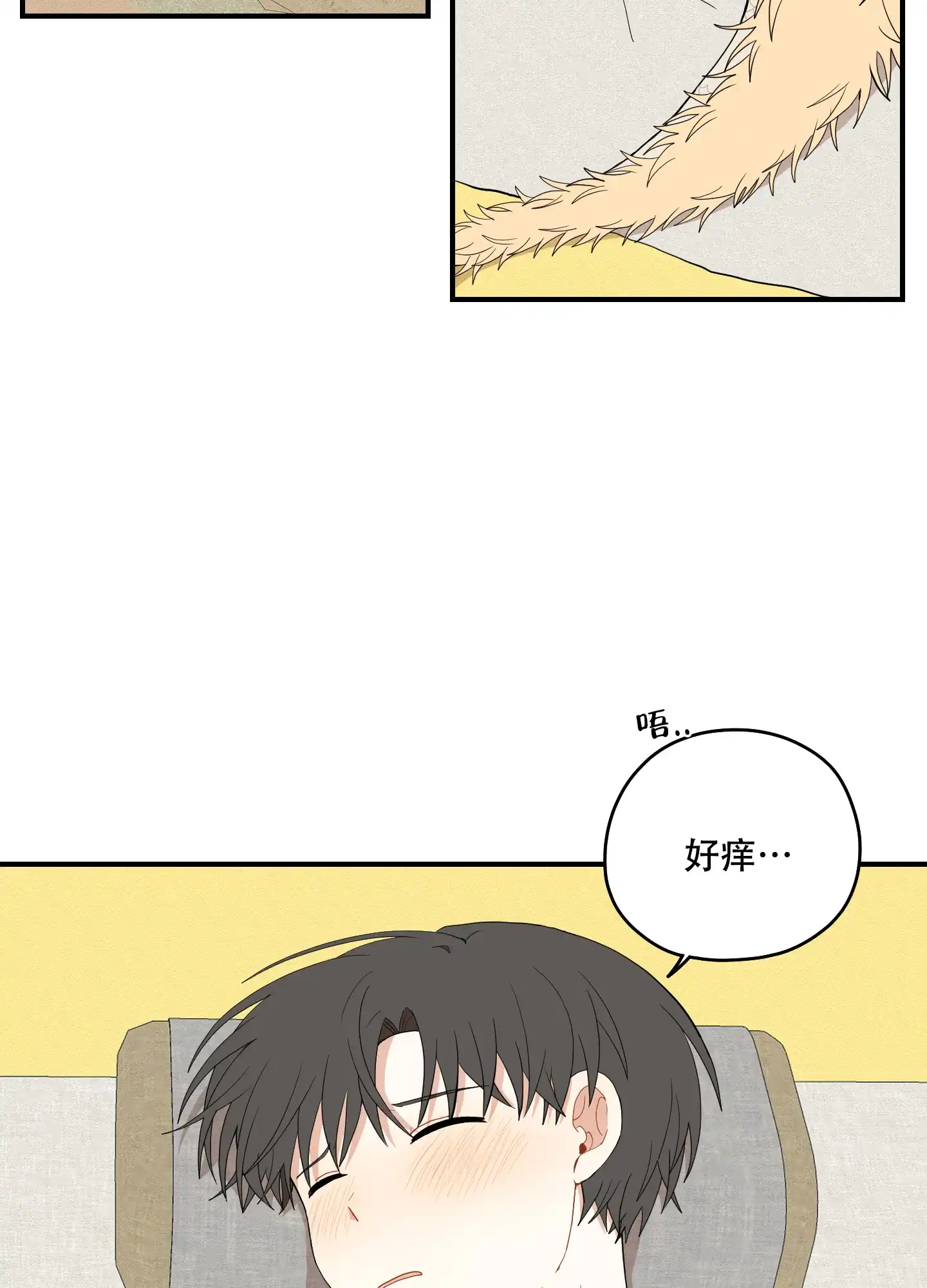 《铺满金钟花的路》第41话 第2页