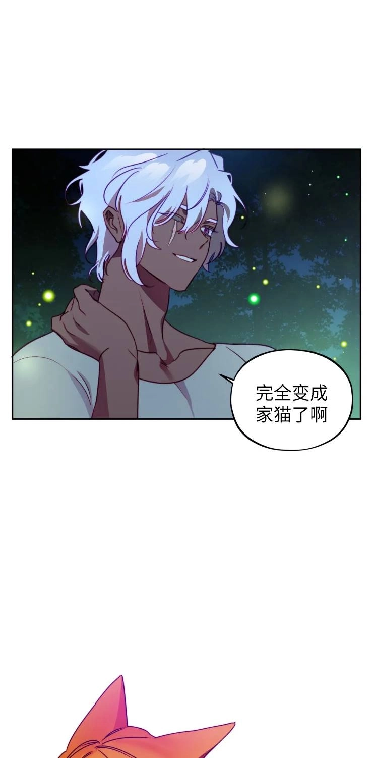 《扑通扑通攻略记》第112话 第48页