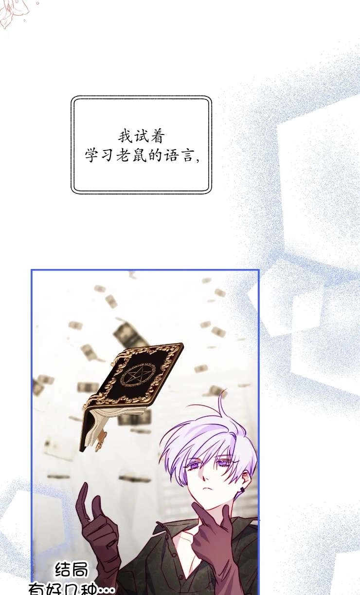 《扑通扑通攻略记》第129话 第50页