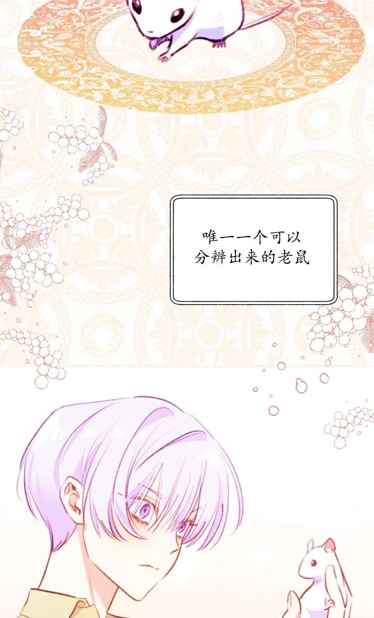 《扑通扑通攻略记》第129话 第48页