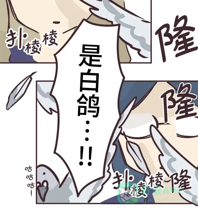 前辈是男孩子 第65话 第20页
