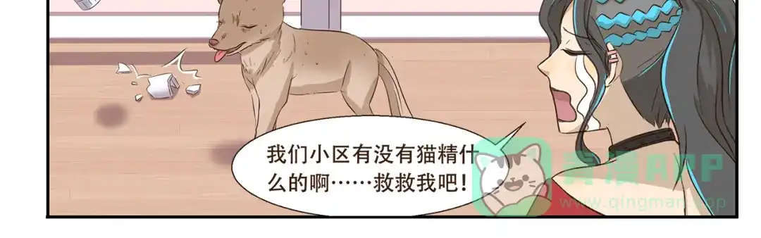 《千精百怪》第170话 猫界时尚大师 第11页