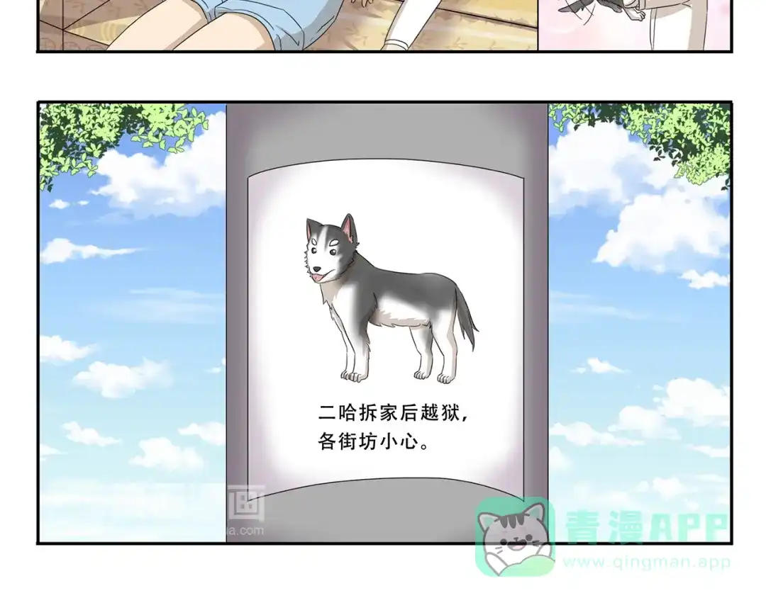 《千精百怪》第255话 拆家警告 第6页
