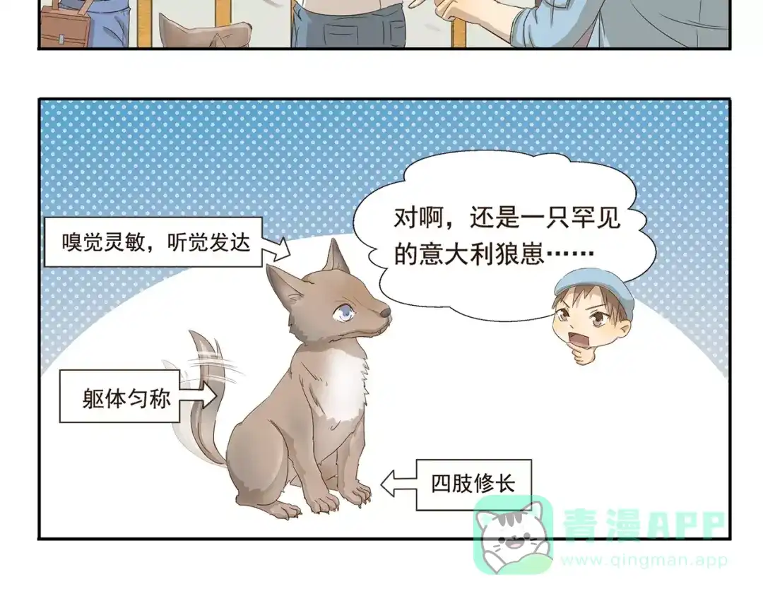 《千精百怪》第33话 开罗动物园 第6页