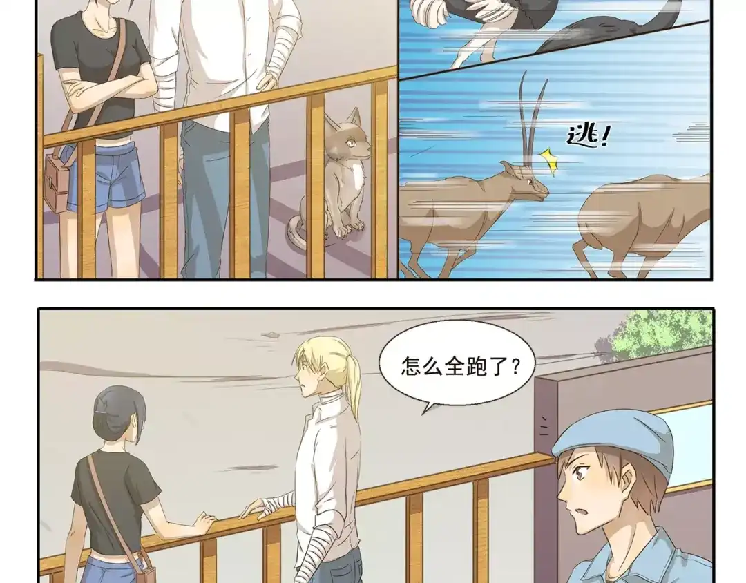 《千精百怪》第33话 开罗动物园 第4页