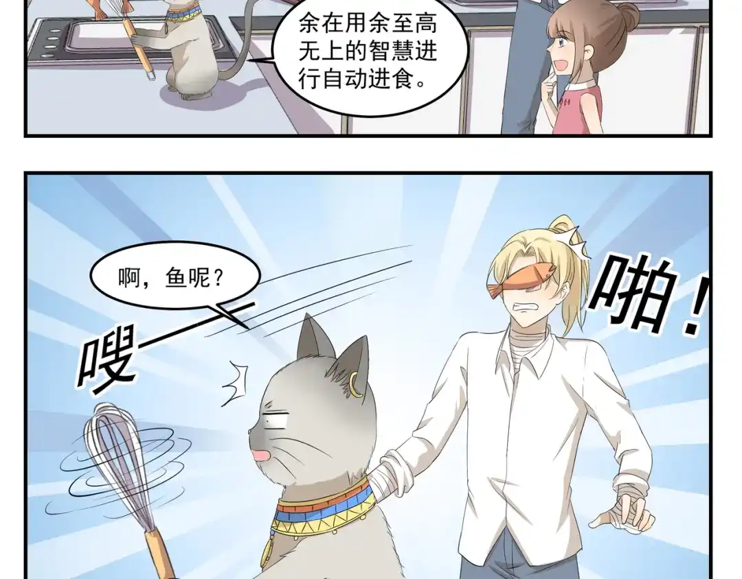 《千精百怪》第430话 猫咪习性 第5页