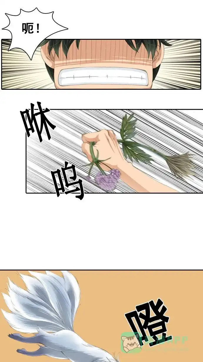 《千年九尾狐》预告 第13页