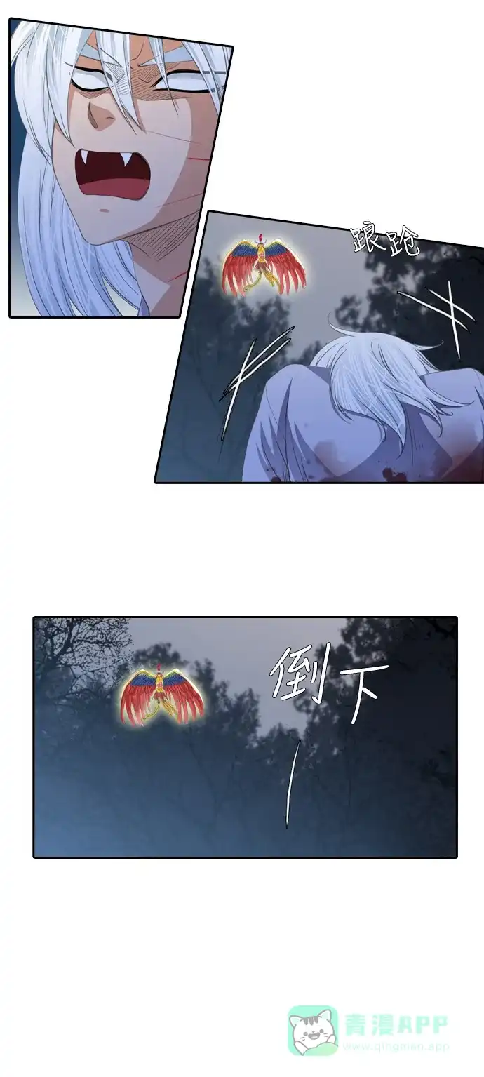 《千年九尾狐》[第108话] 去绿衣族（2） 第17页