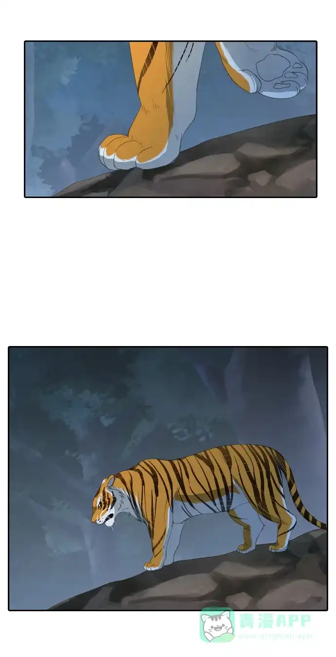 《千年九尾狐》[第214话] 矛盾的根源 第4页