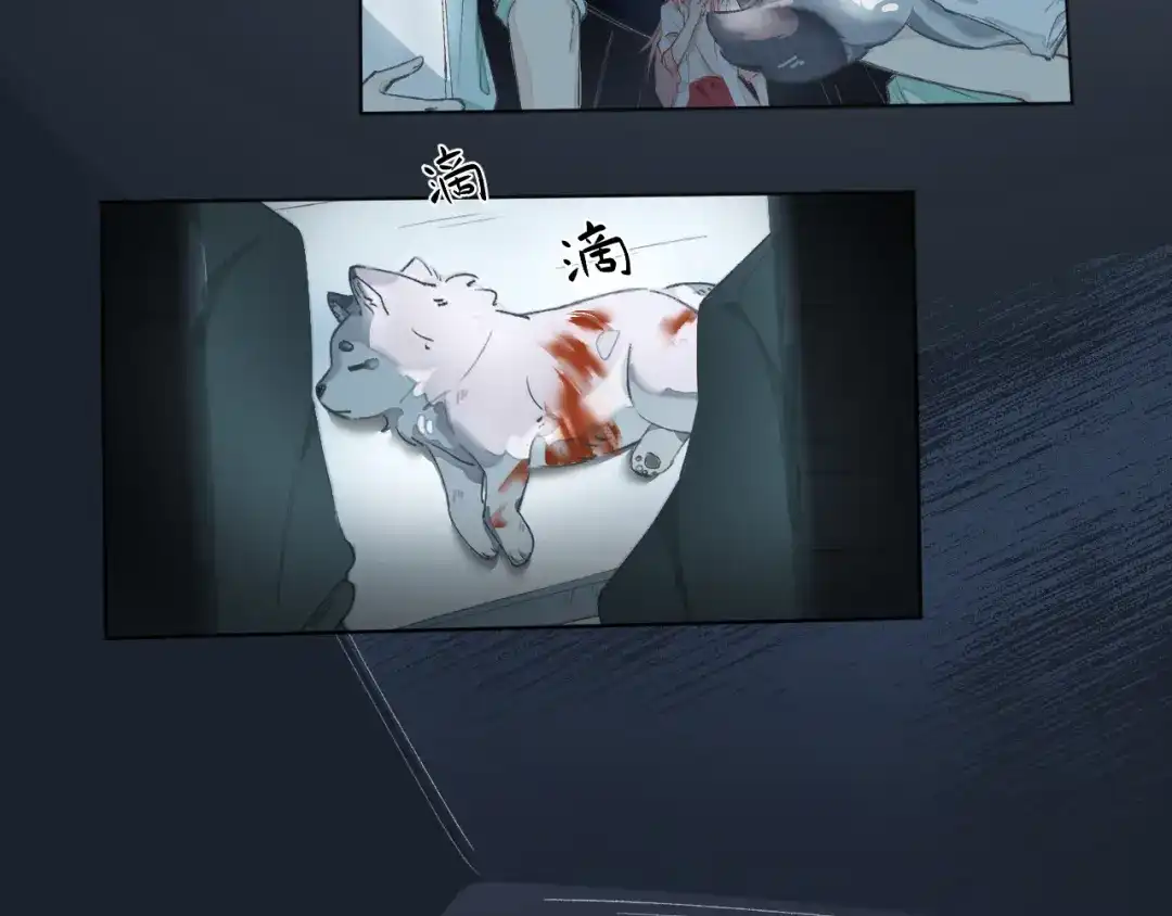 《牵引绳的另一端》01-初遇 第53页