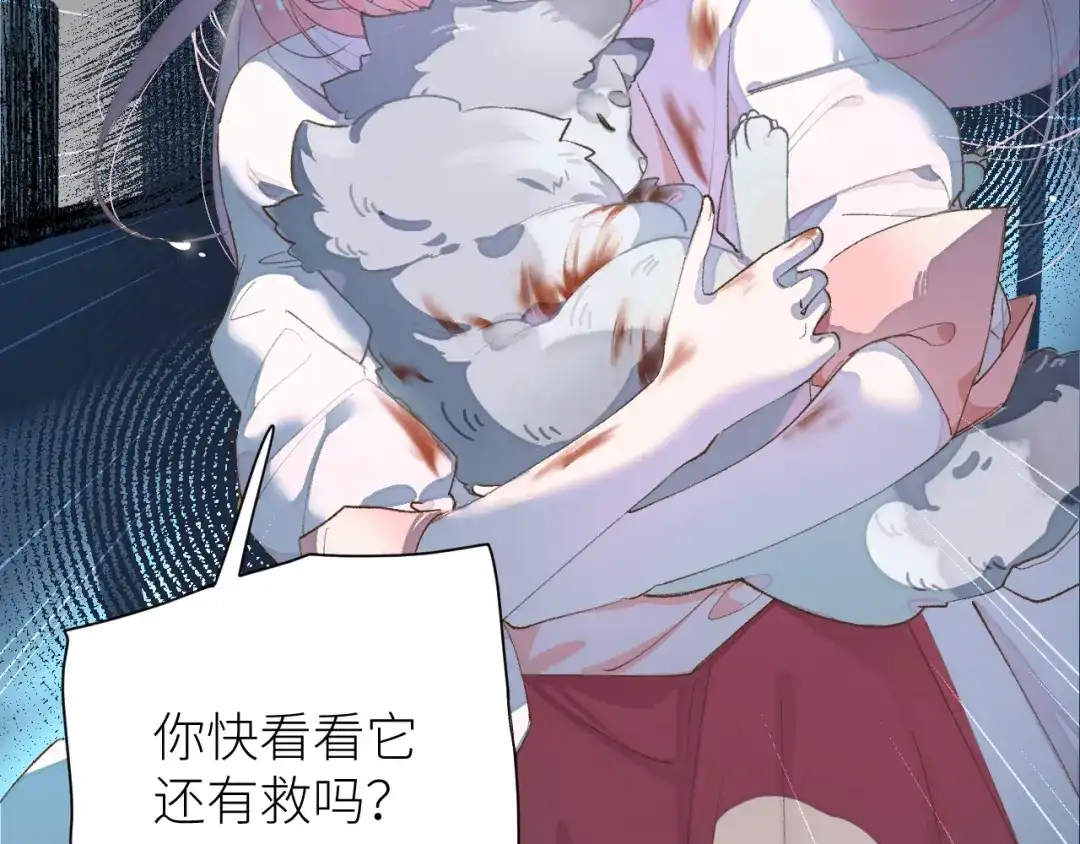 《牵引绳的另一端》01-初遇 第48页
