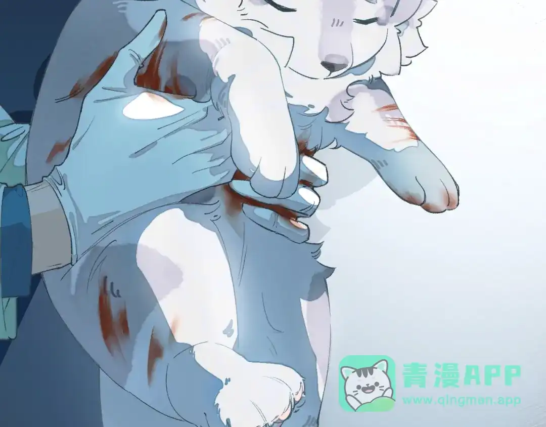 《牵引绳的另一端》01-初遇 第51页