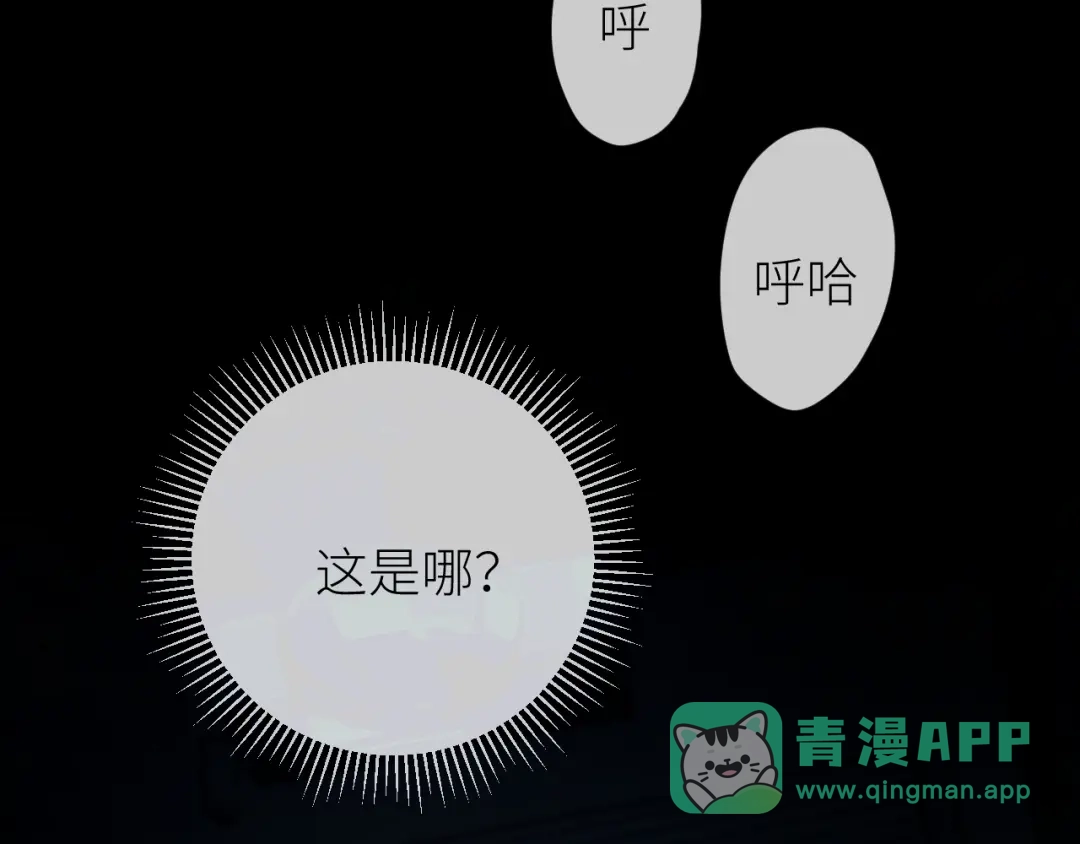 《牵引绳的另一端》02-捡了个祖宗 第6页