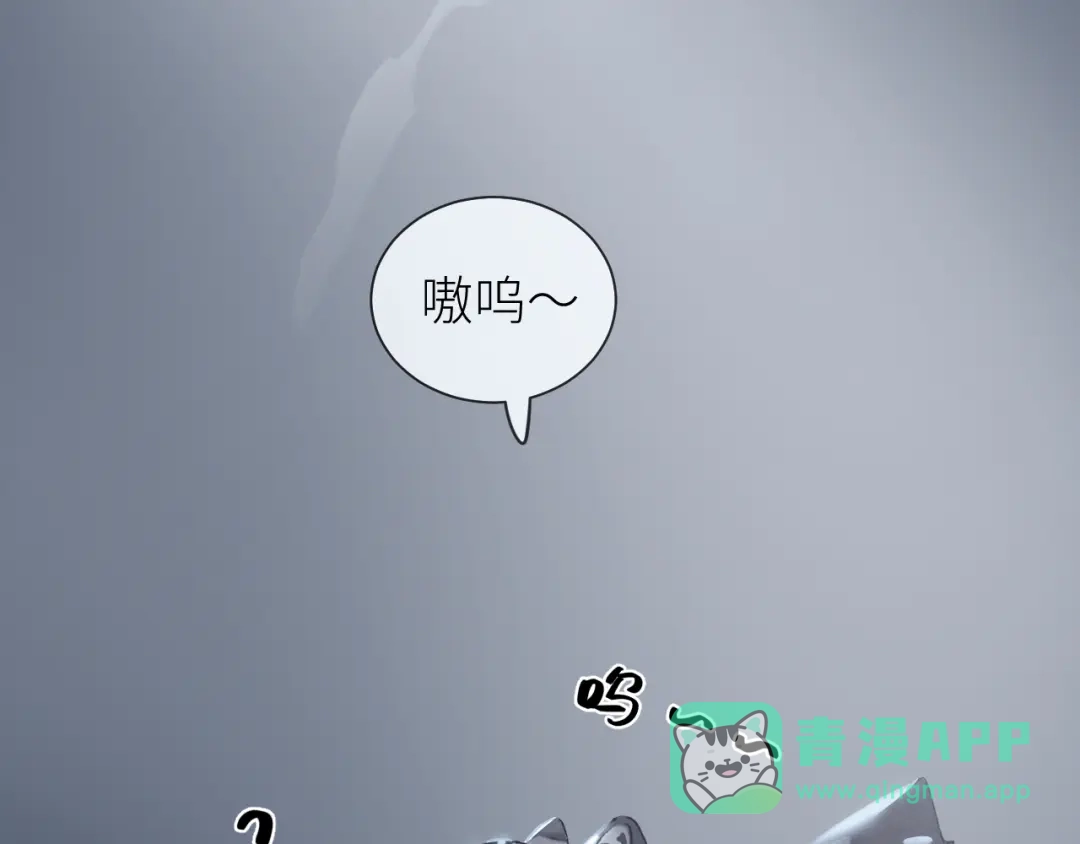 《牵引绳的另一端》02-捡了个祖宗 第41页