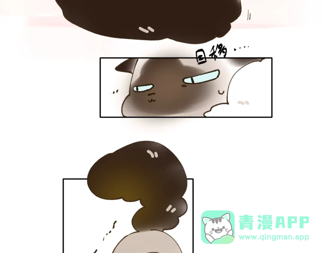 《牵引绳的另一端》03-捉弄 第41页