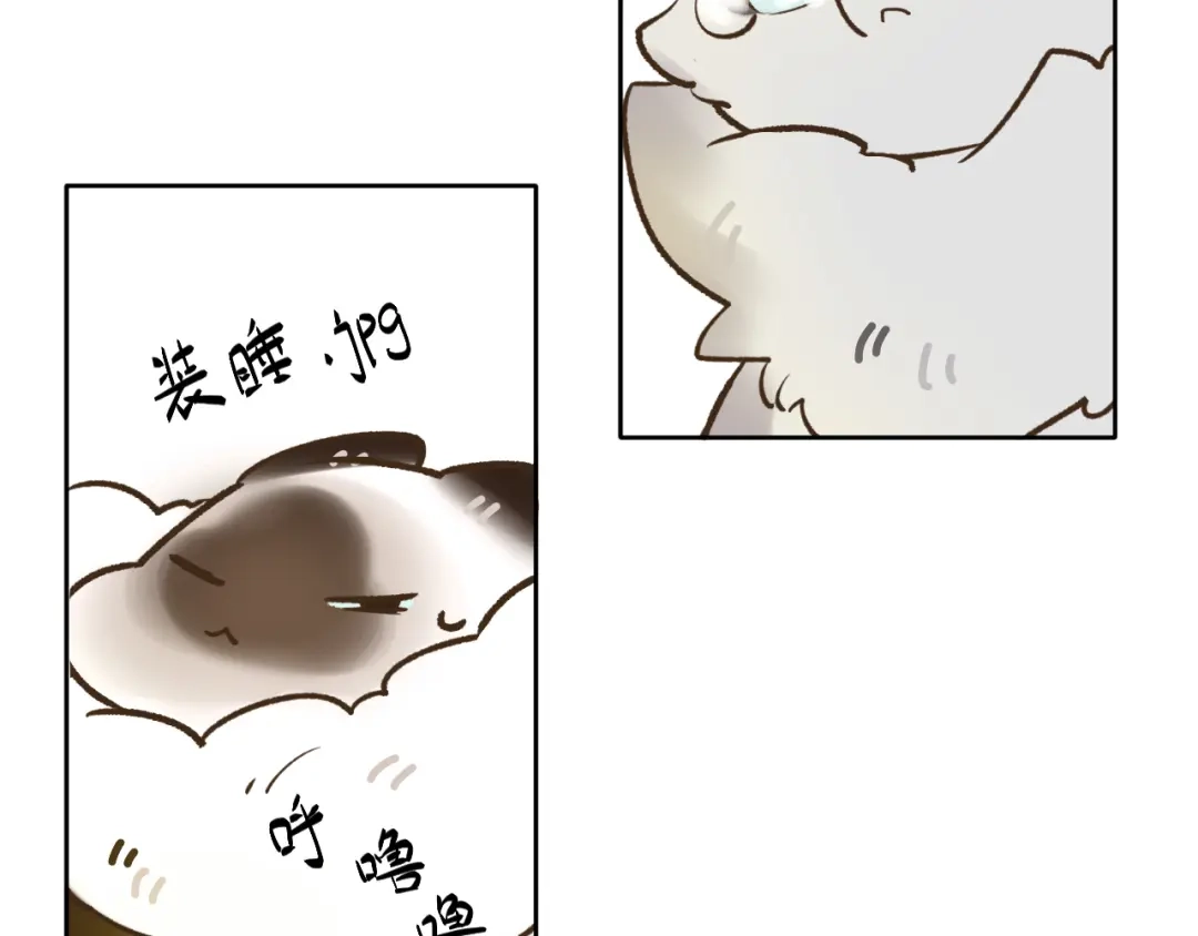 《牵引绳的另一端》03-捉弄 第38页