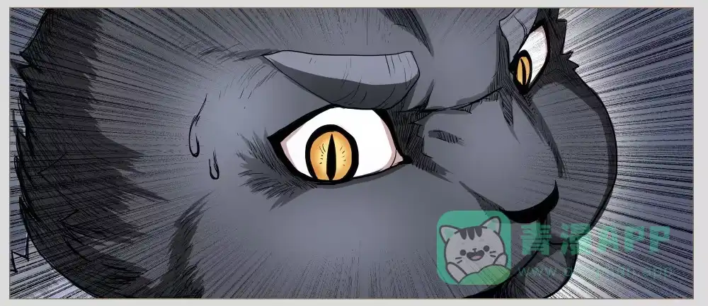 《祈灵》010猫和他的猫part2 第16页