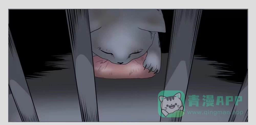《祈灵》011猫和他的猫part3 第11页