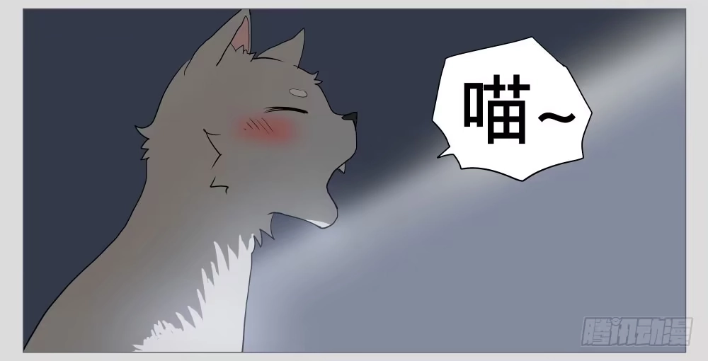 《祈灵》011猫和他的猫part3 第13页