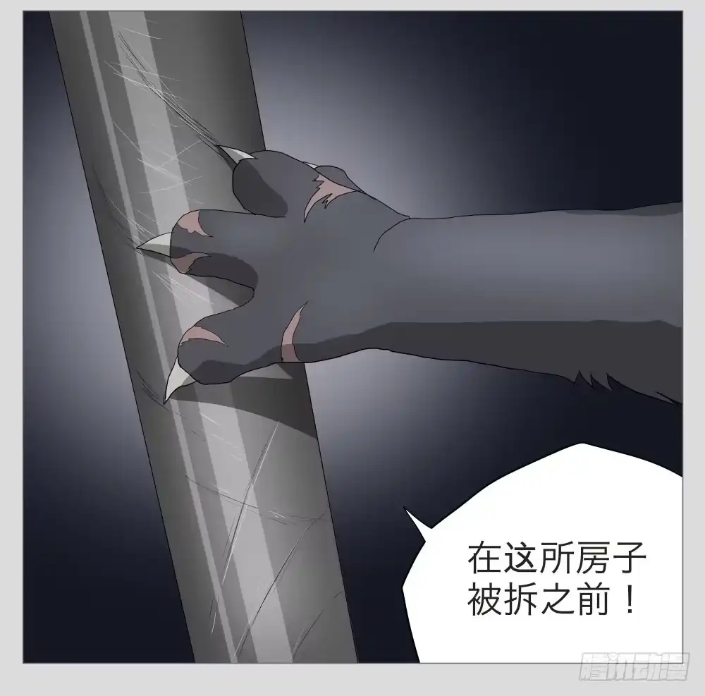 《祈灵》011猫和他的猫part3 第15页