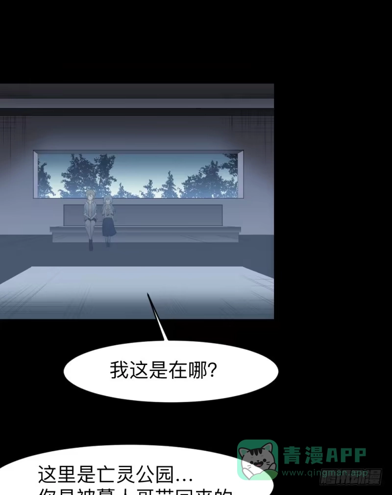 《祈灵》最终章-彼岸花开子时泪 第16页