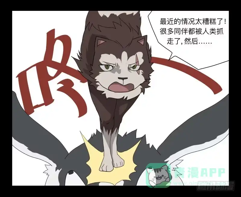《祈灵》051-猫左犬右part1 第26页
